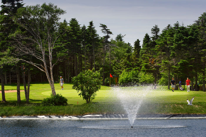 Bally Haly Golf Curling Club